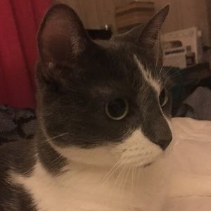 Meet your Posher, Aimee